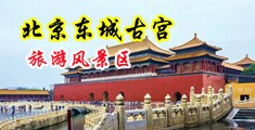 俄罗斯美女的小穴被操中国北京-东城古宫旅游风景区